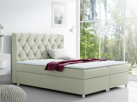 Continental lova 70564