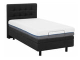 Lova 519384