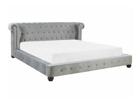 Lova 529157
