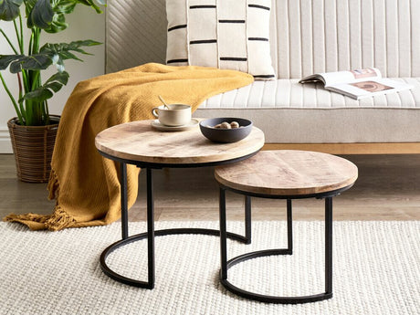 Žurnalinių staliukų komplektas 530012