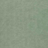 Minkštasuolis 55352