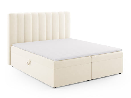 Continental lova 564246
