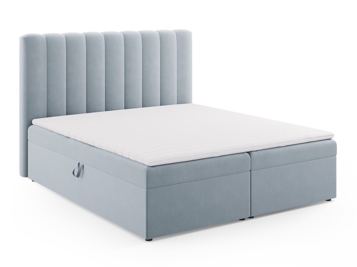 Continental lova 564246