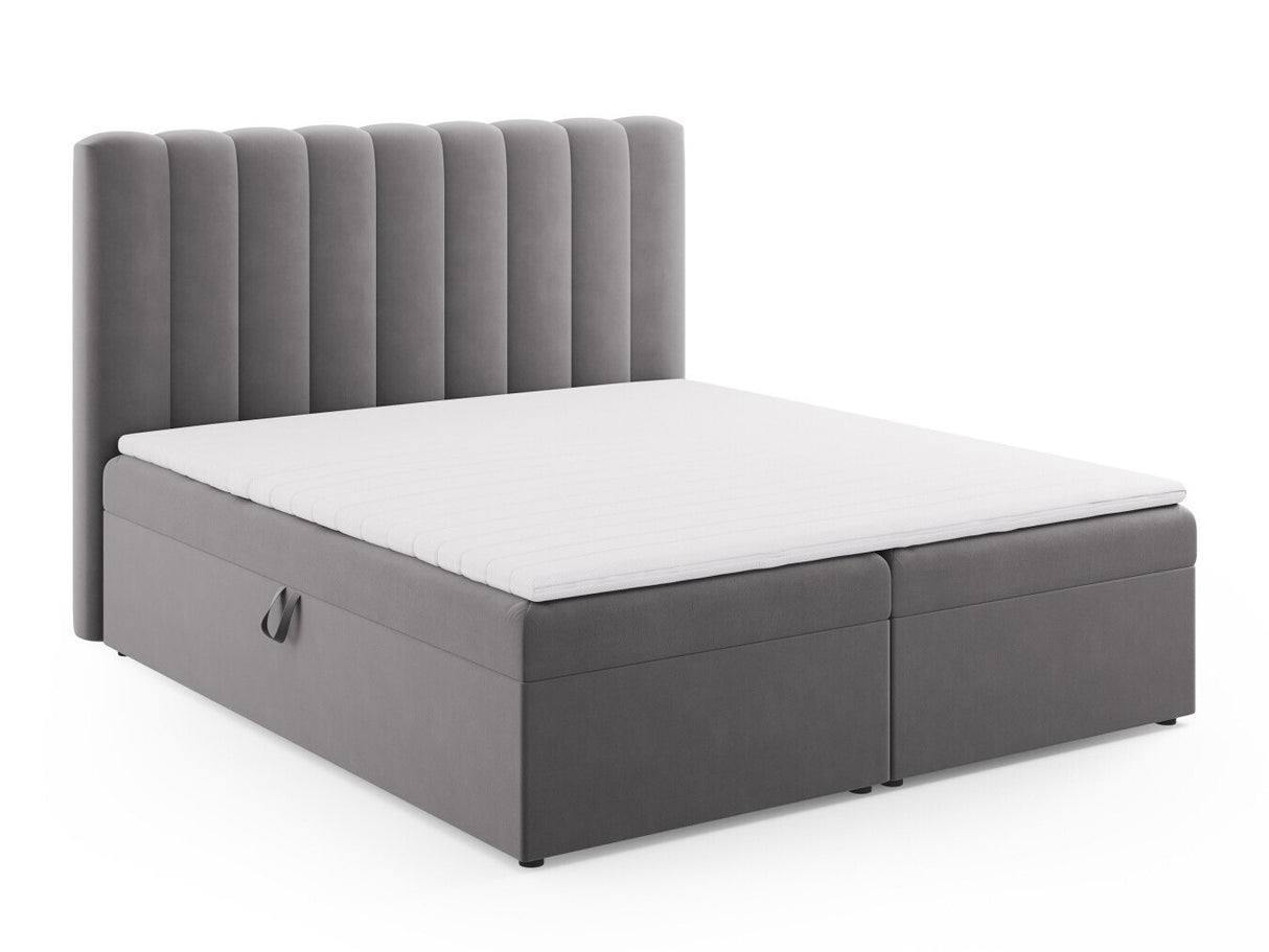 Continental lova 564246