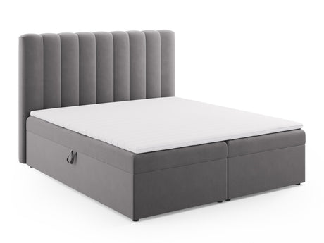 Continental lova 564246