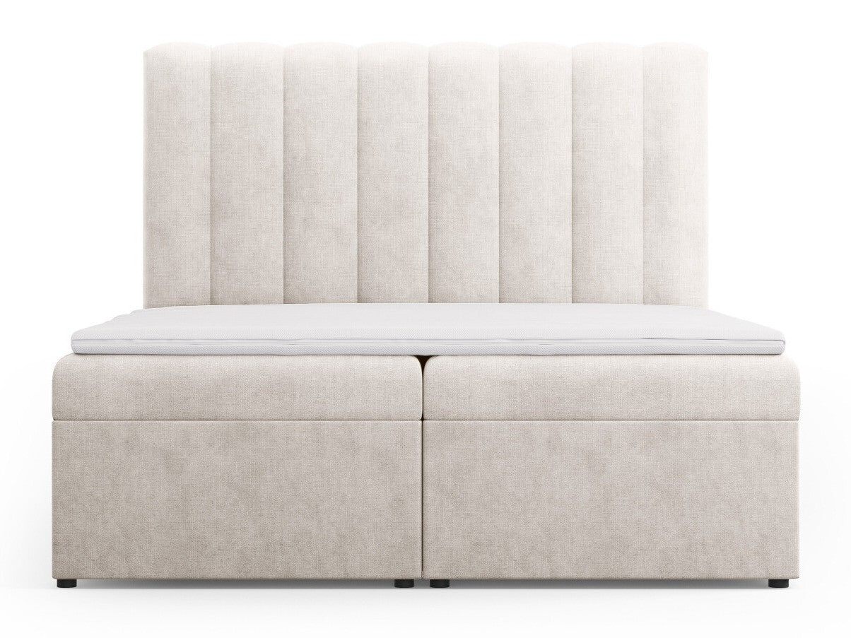 Continental lova 564246
