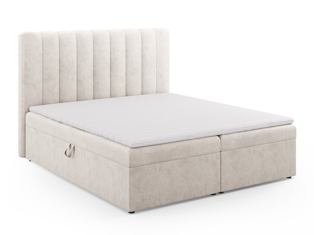 Continental lova 564246