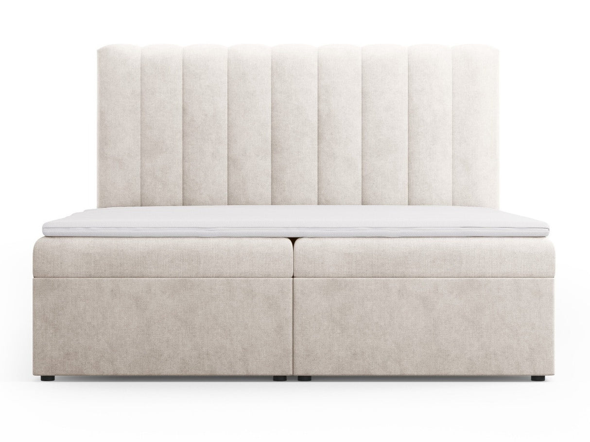 Continental lova 564246