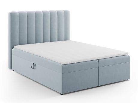 Continental lova 564246