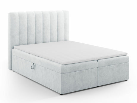 Continental lova 564246