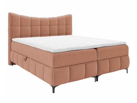 Continental lova 565585
