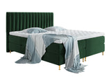 Continental lova 294981 3816482