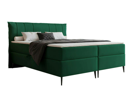 Continental lova 578294