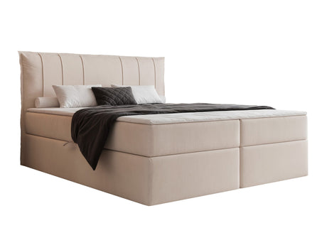 Continental lova 578427