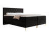 Continental lova 579146