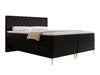 Continental lova 579146