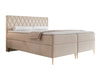 Continental lova 579146