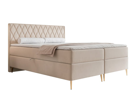 Continental lova 579146