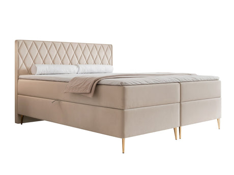 Continental lova 579146