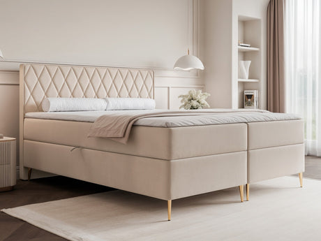 Continental lova 579146