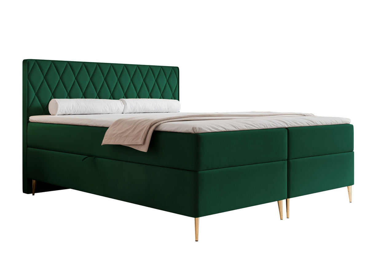 Continental lova 579146
