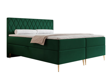 Continental lova 579146