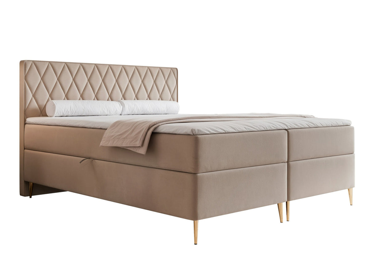 Continental lova 579146