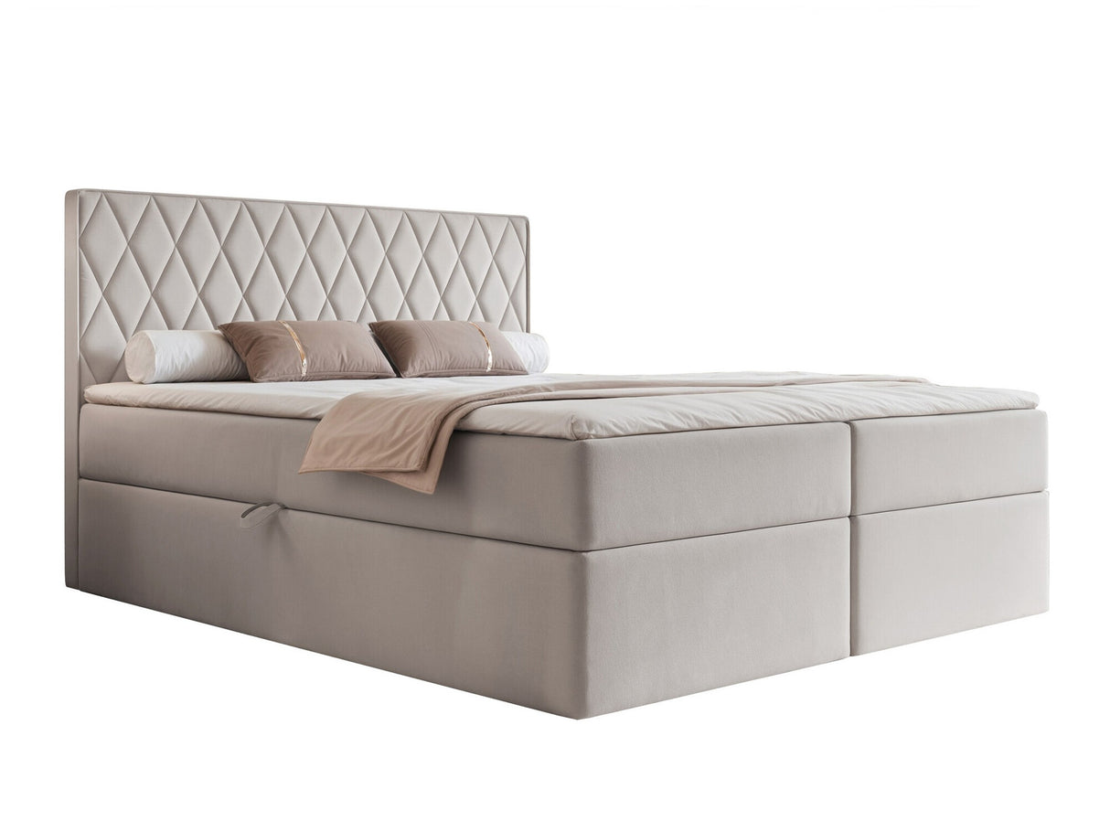 Continental lova 579670