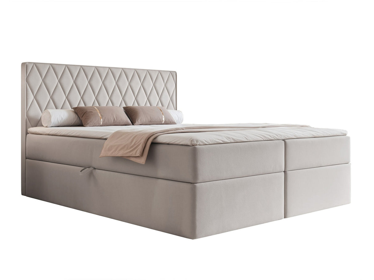 Continental lova 579670