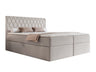 Continental lova 579670
