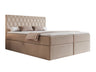 Continental lova 579670