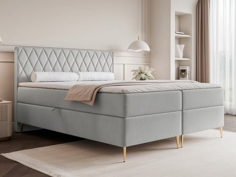 Continental lova 579146
