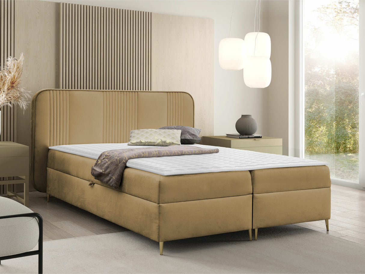 Continental lova 582487