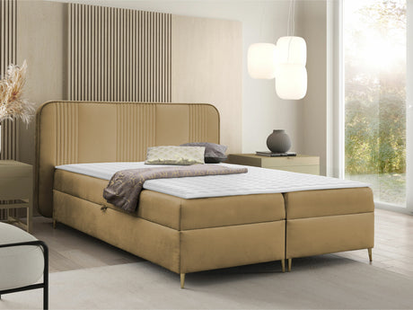 Continental lova 582487