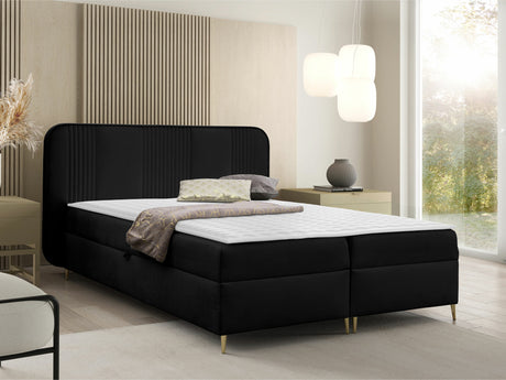 Continental lova 582487