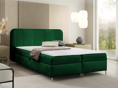 Continental lova 582487