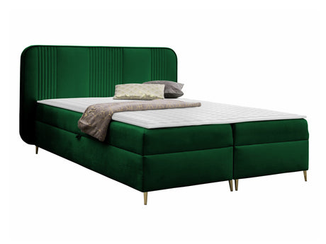 Continental lova 582487