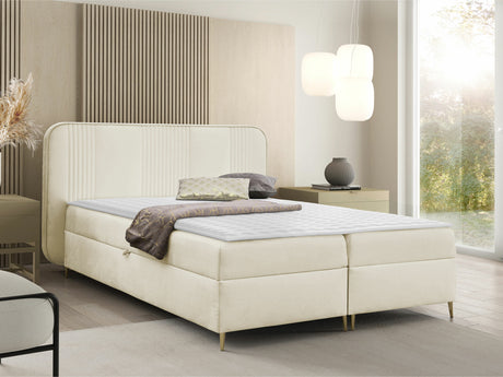 Continental lova 582487