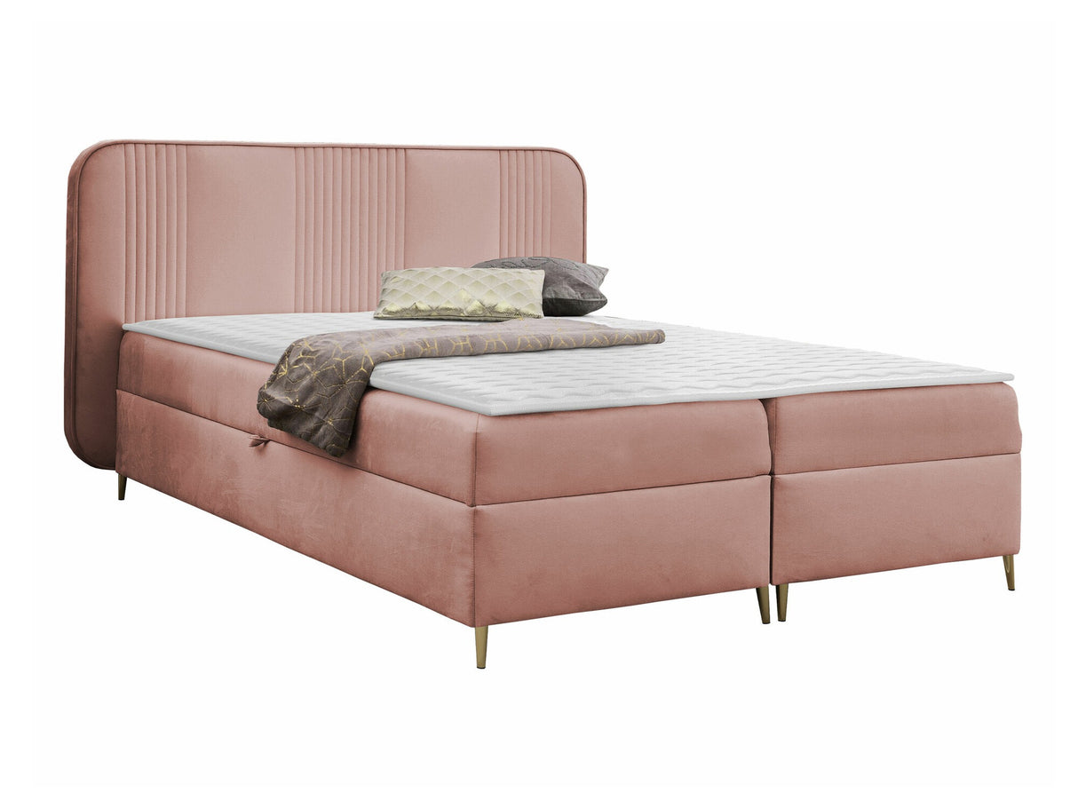 Continental lova 582487