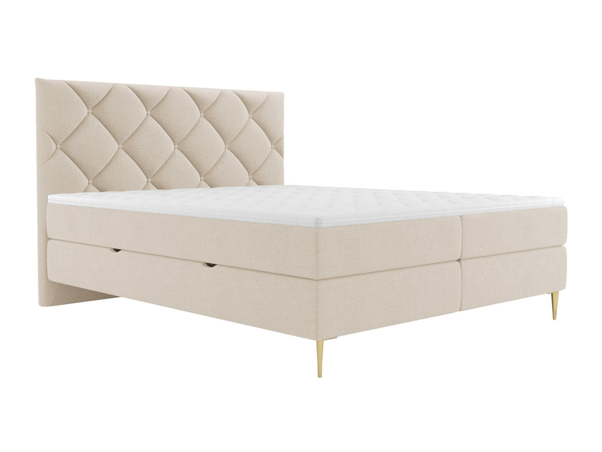 Continental lova 580562 3958119