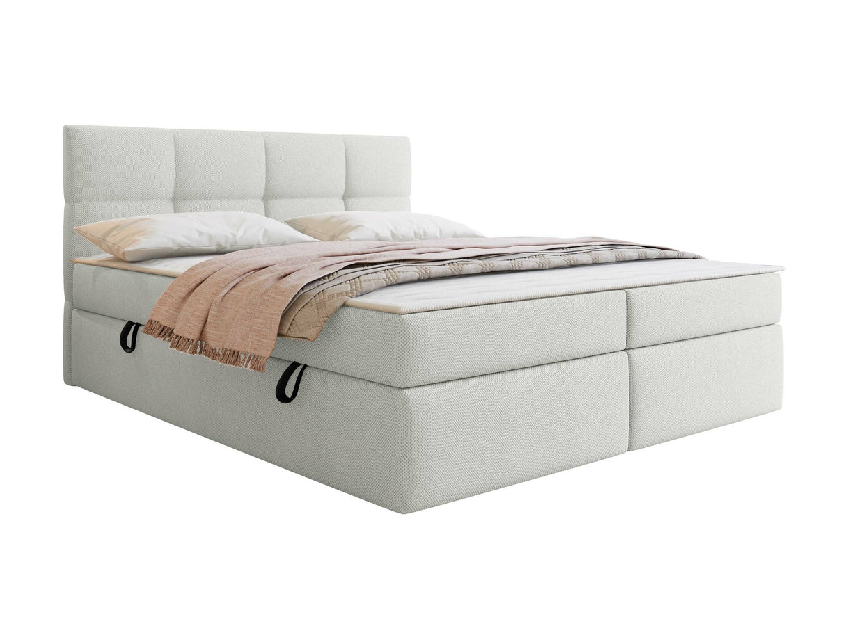 Continental lova 541393 3976536