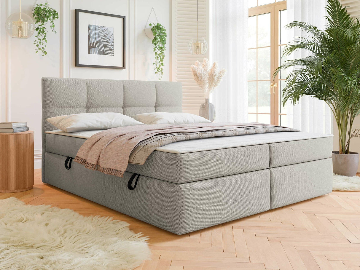 Continental lova 541393 3976588