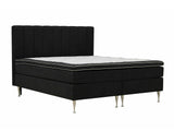 Continental lova 584644