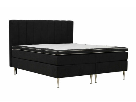 Continental lova 584644