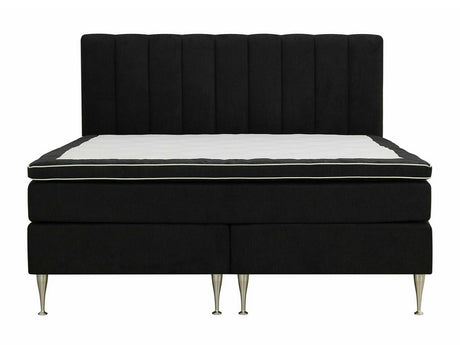 Continental lova 584644