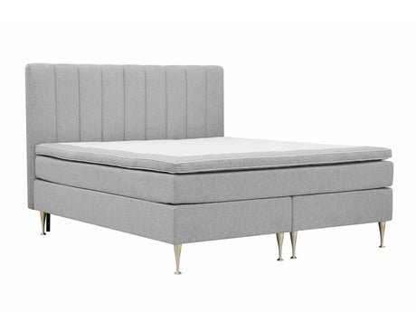 Continental lova 584644
