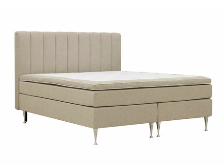 Continental lova 584644