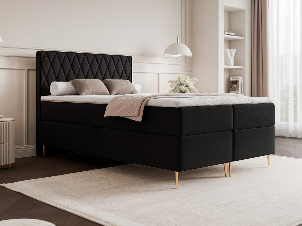 Continental lova 579146