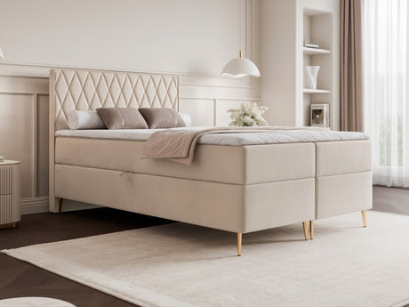 Continental lova 579146