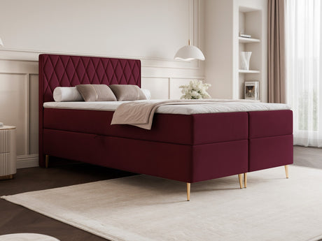 Continental lova 579146